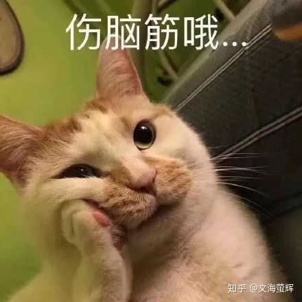 有哪些可爱,有趣的表情包?