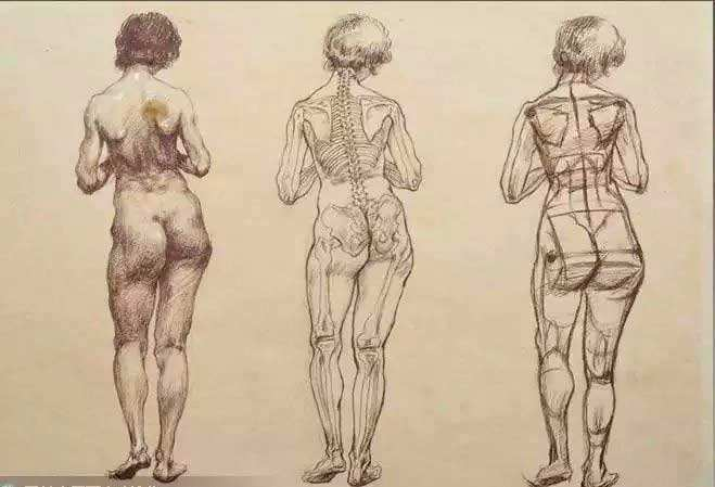 如何去练习绘画人体结构透视?