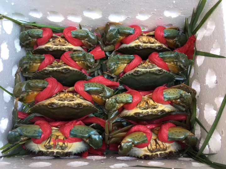 黑燕蟹——也是满膏蟹,也称重壳蟹,是最好的肉蟹即将换壳变膏蟹的一种
