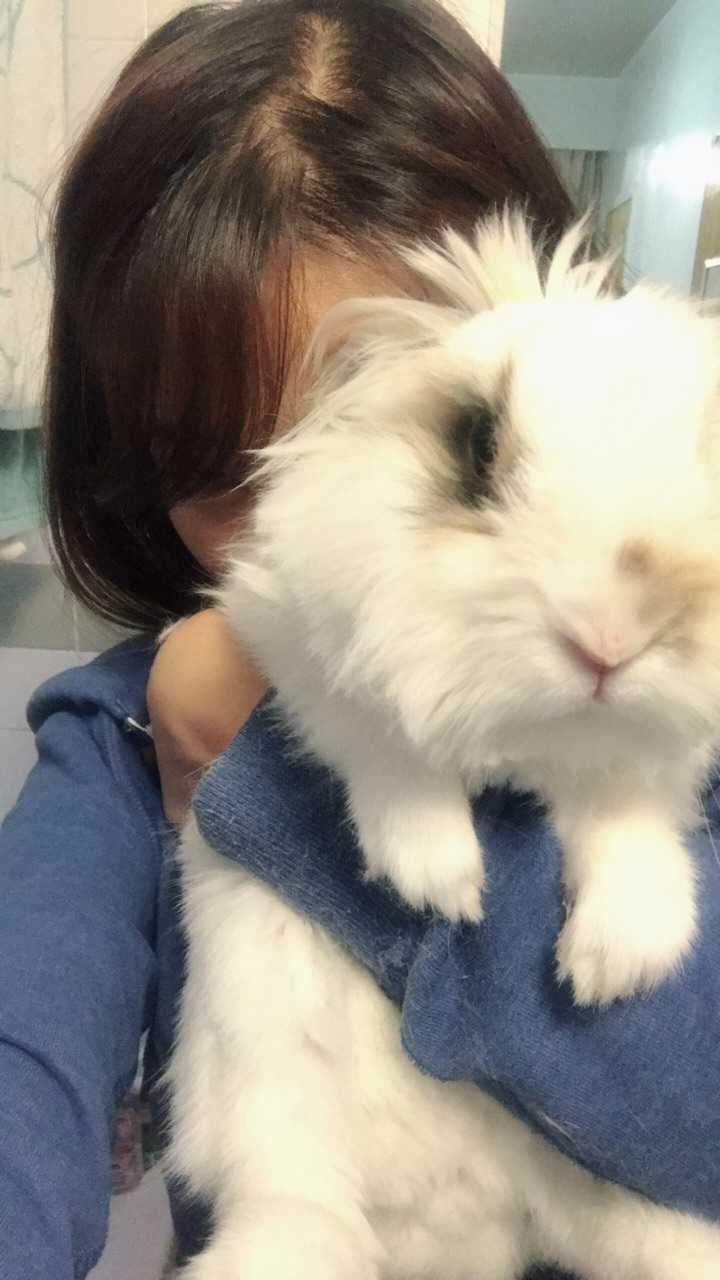 什么动物摸起来最舒服?
