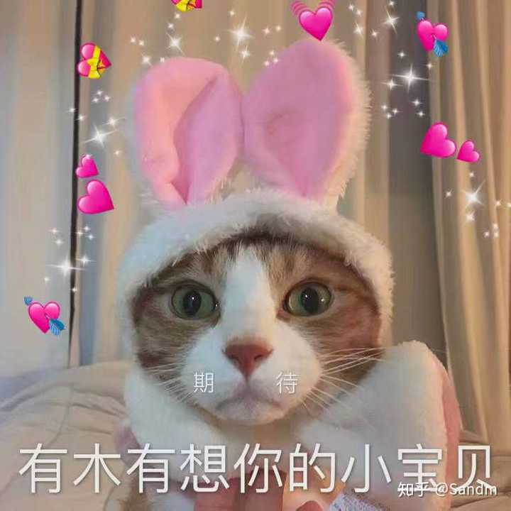 有没有给女朋友亲亲的表情包?