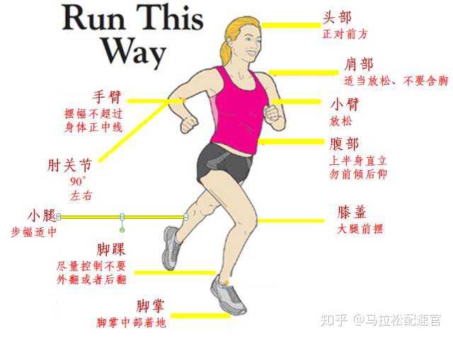 靠小腿肌肉来进行跑步过程中的趴地前行动作
