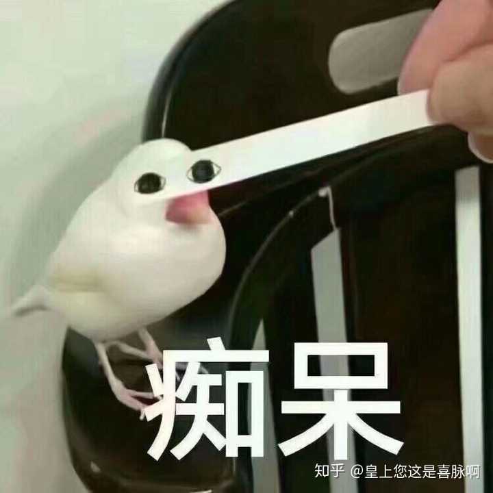 超级沙雕的头像!有么?