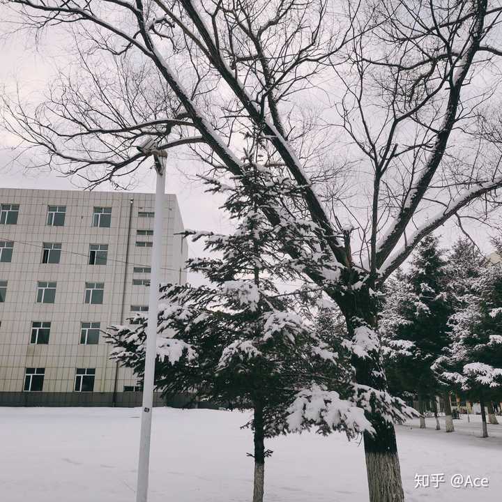 吉林化工学院双吉学院?