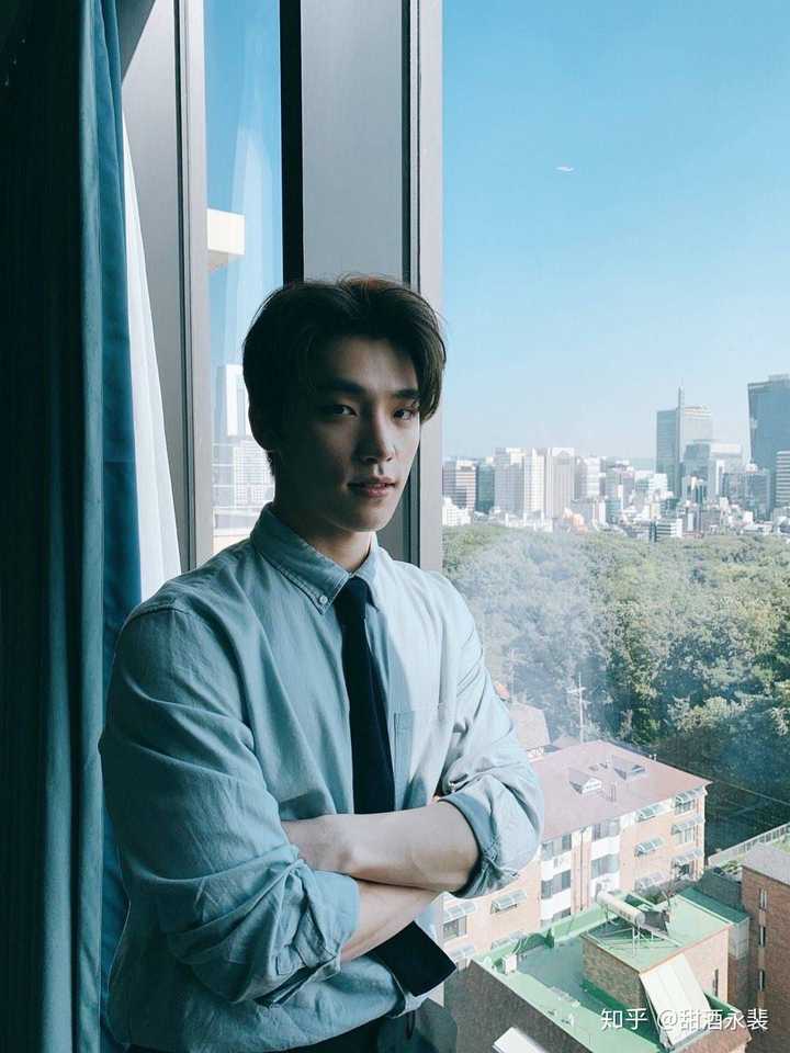 如何评价seventeen成员李灿dino?