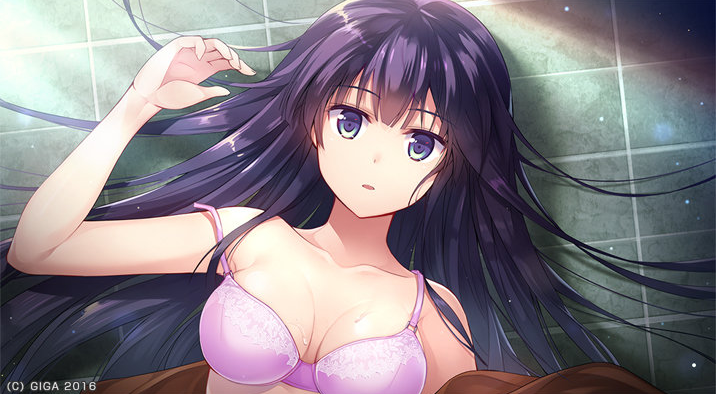 四,dual tail(二尾社) venus blood系列(即vb系列) 恶堕chu