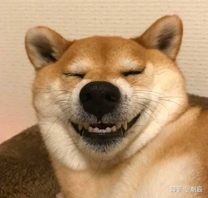 有哪些阳光开朗的头像推荐?