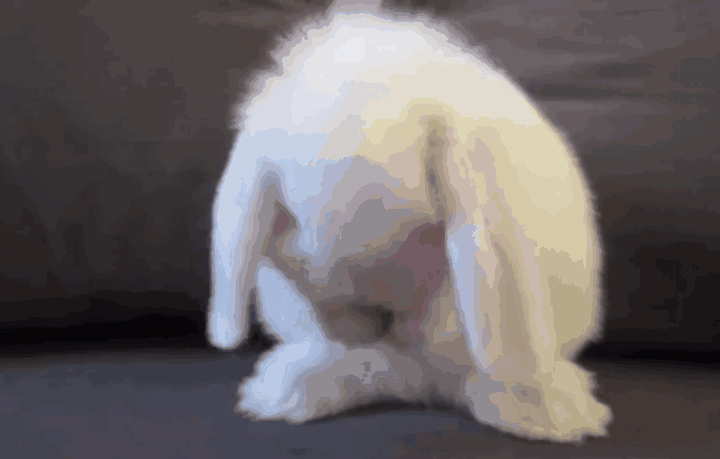 女生腿长是什么感觉?