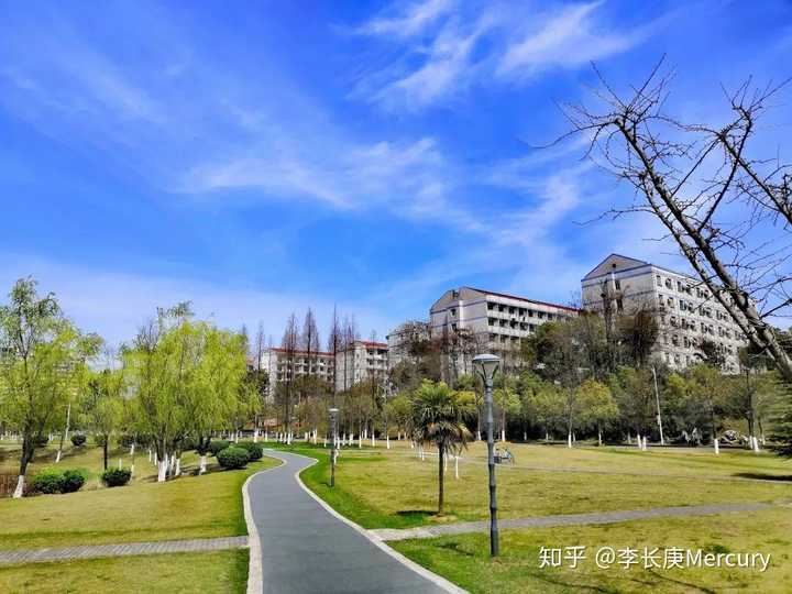 江苏大学的校园环境如何?