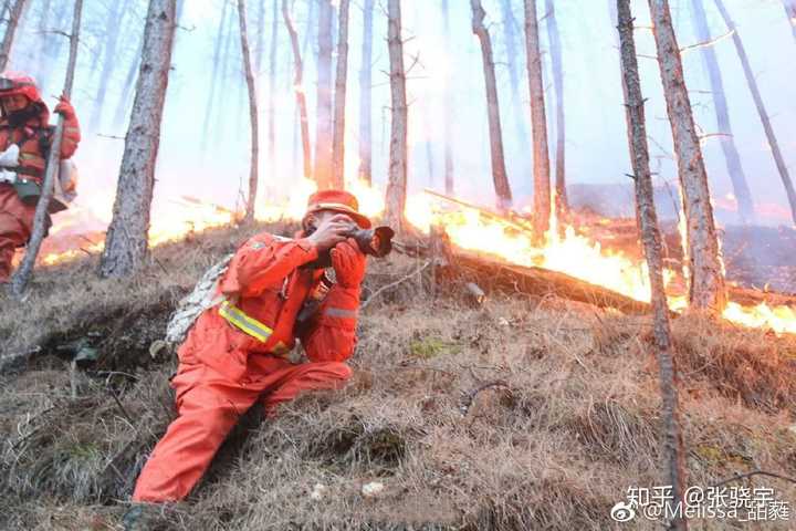 消防员如何看待四川凉山森林火灾致 30 名消防队员牺牲,后在其追悼会