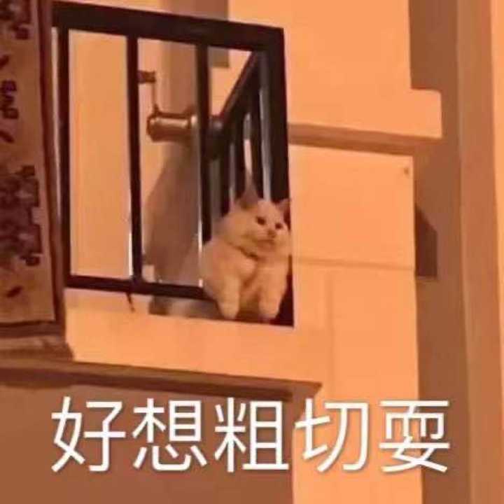 有哪些沙雕可爱的文案?