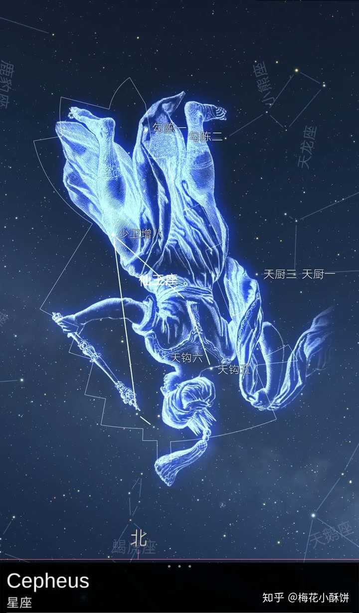 仙王座