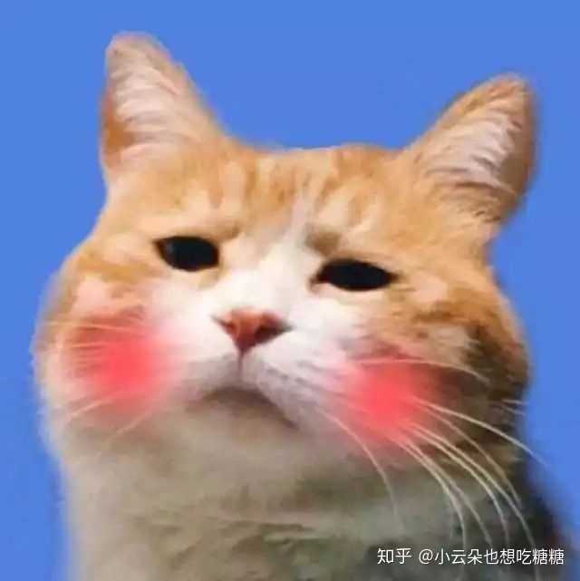 有哪些高冷又不失可爱的头像?