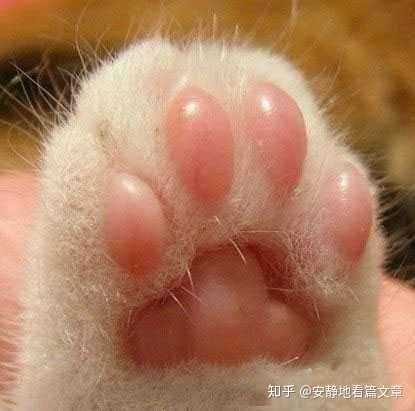 什么样的脚底脚型看上去比较好看?
