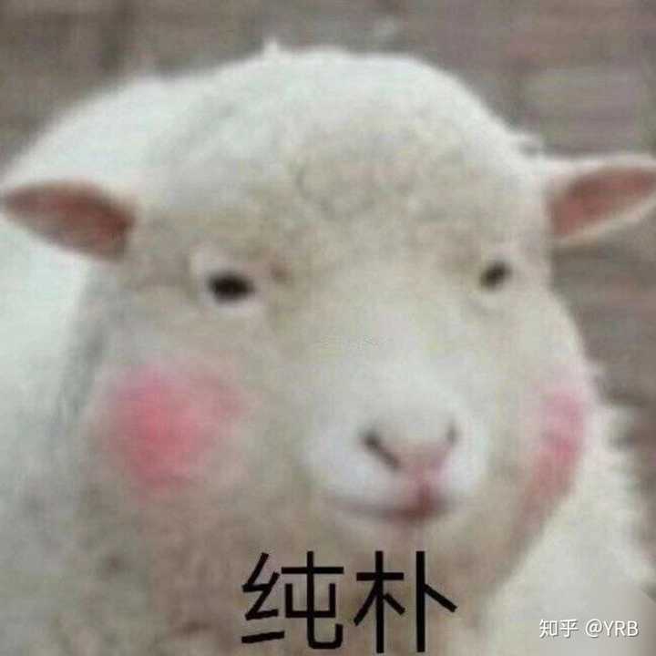 请问用什么头像可以让我考上研究生?