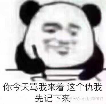 一    记仇系列