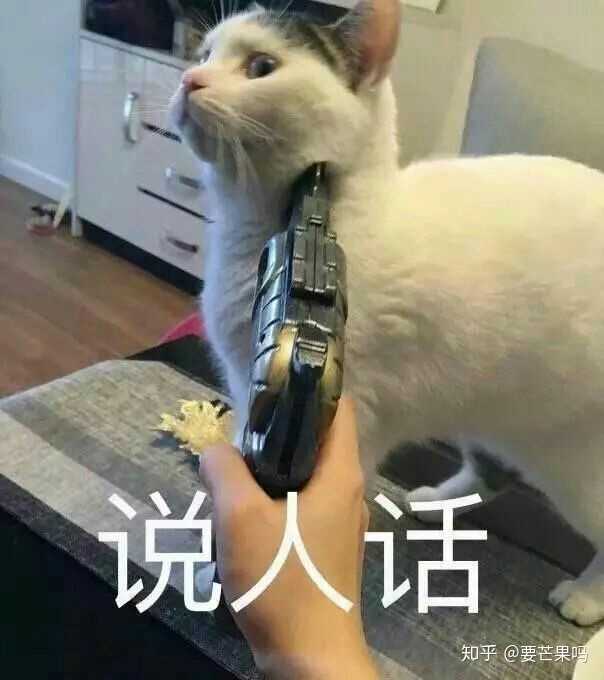 你见过最鬼畜的文综题是什么?