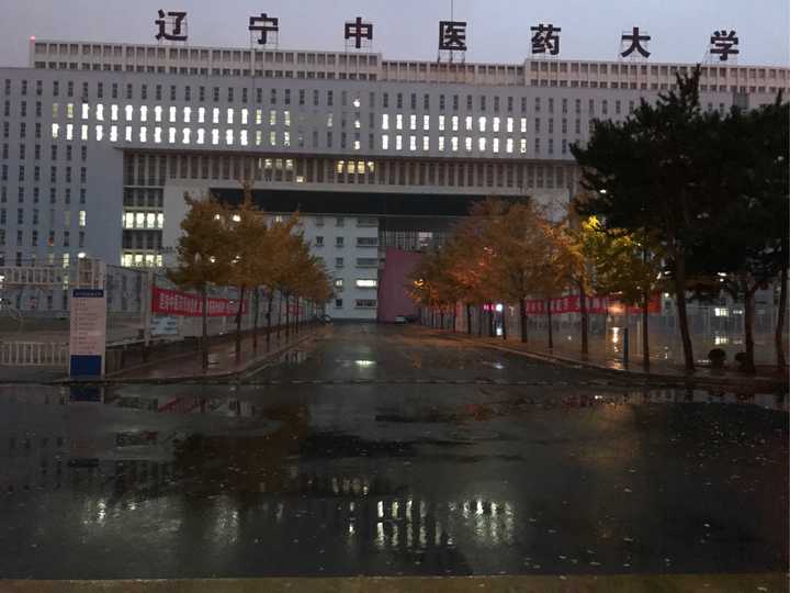 在辽宁中医药大学读书学习生活是种什么样的体验?