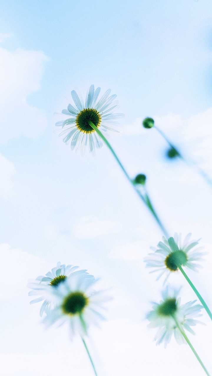 夏天到了,有没有看起来很清爽干净的高清壁纸?