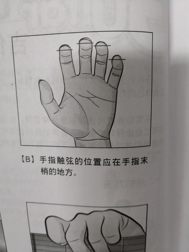 想知道学吉他的吉友们,你们的左手手指的情况?剖出图片来.