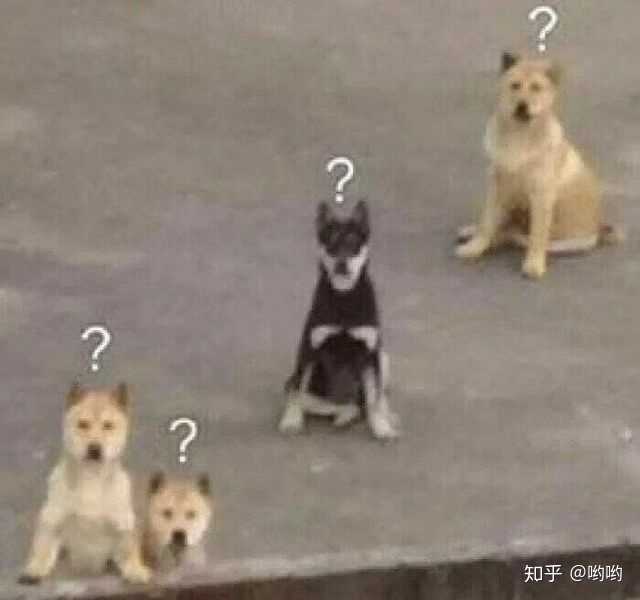 有没有那种可以让人笑疯掉的表情,求大佬分享一下?