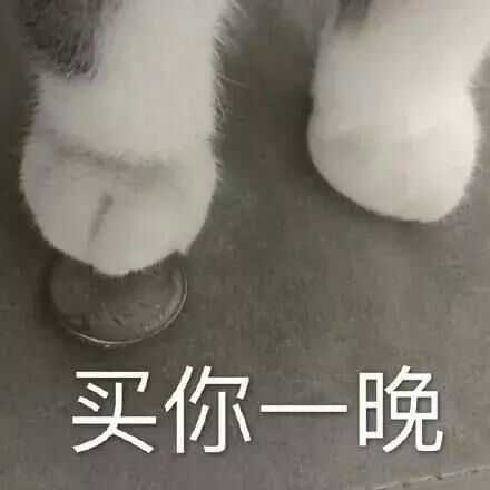 手机里有哪些搞笑 欠揍 可爱的表情包 ?
