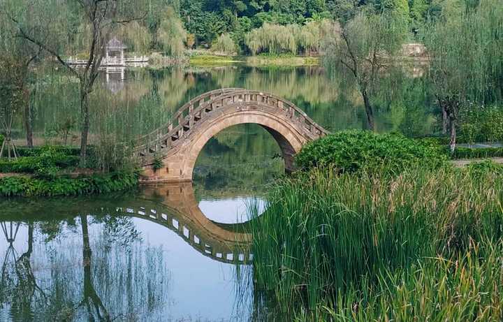 盐都植物园