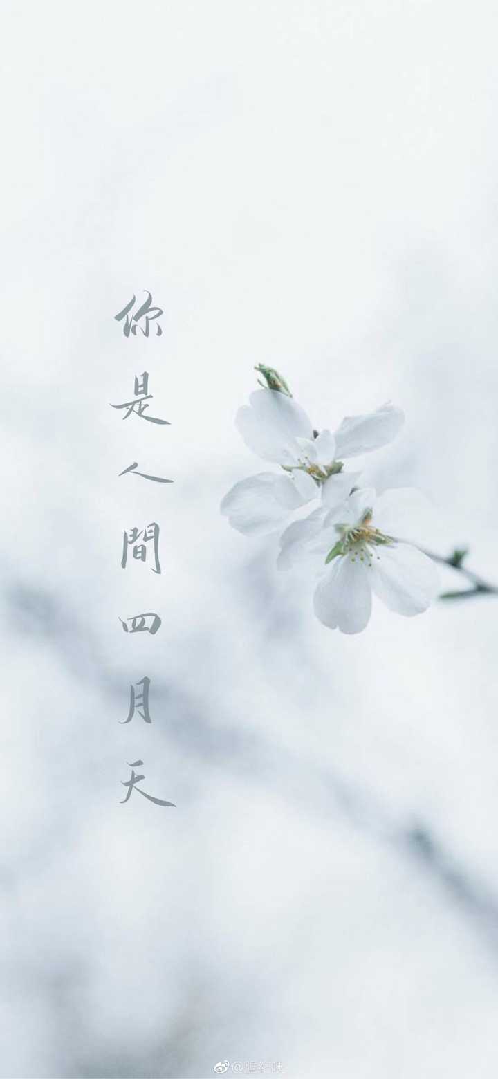 有哪些让你一眼就"惊艳"的手机壁纸?