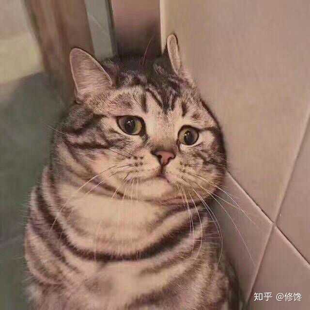 心疼自己,抱紧自己.