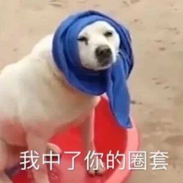 有什么一看就能把人逗笑的表情包?