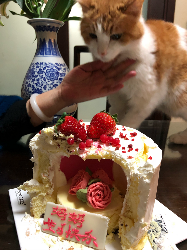 我妈前两天过生日抱着他一起吹蜡烛唱歌的.