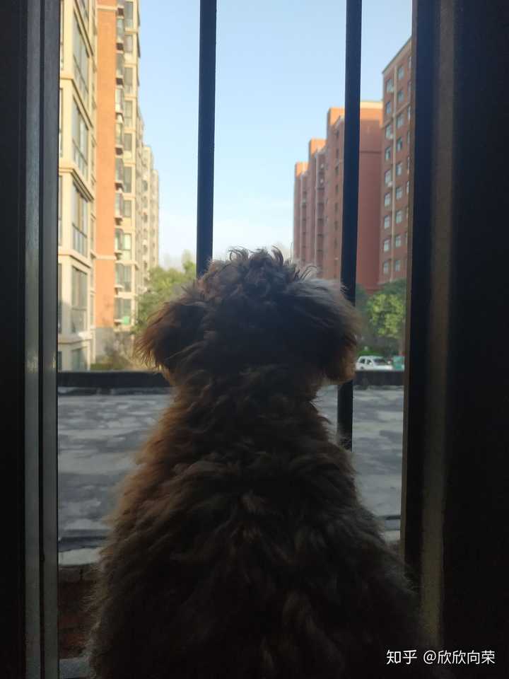 铁窗泪