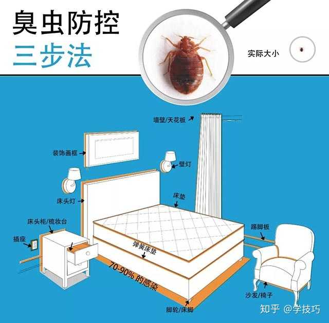 房间里出现了臭虫,如何消灭,天天出现,快崩溃了,有没有办法消灭,求