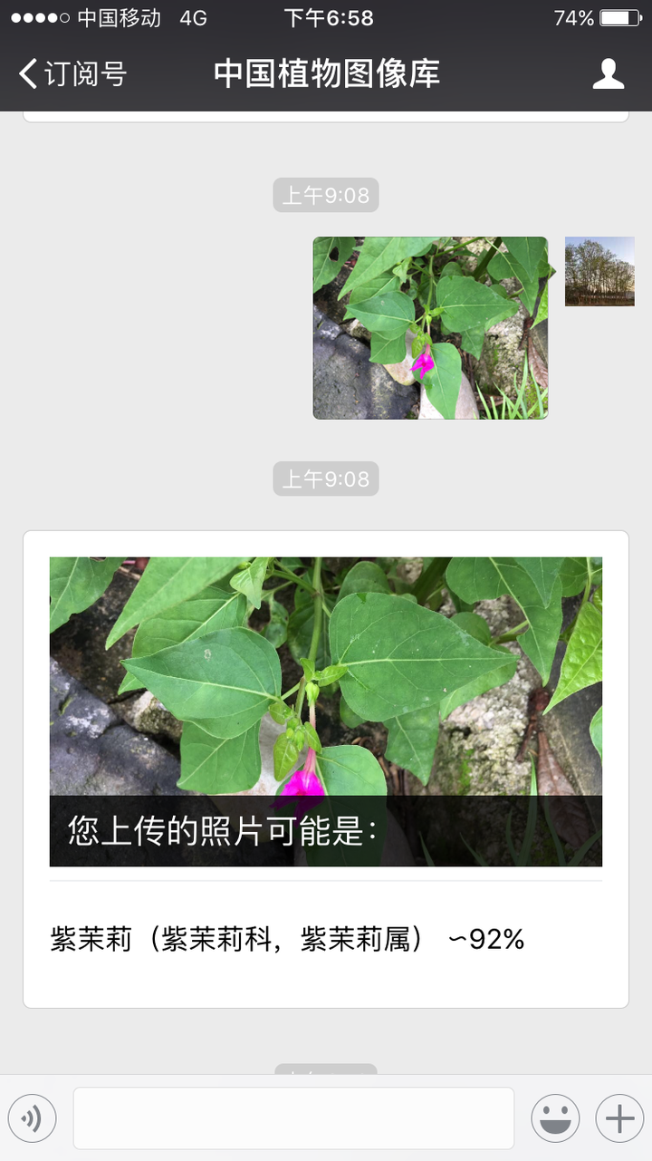 有没有一个app,直接对着植物扫一扫就可以弹出植物的名字,科属种的?