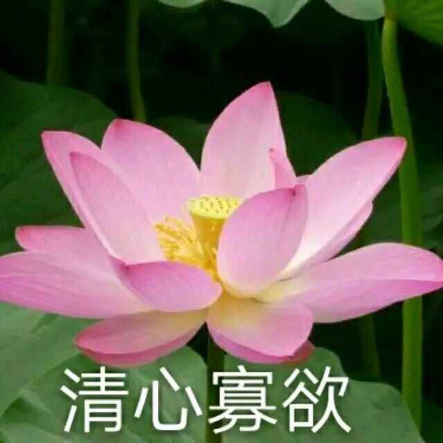 有哪些不用被爸妈diss的头像?
