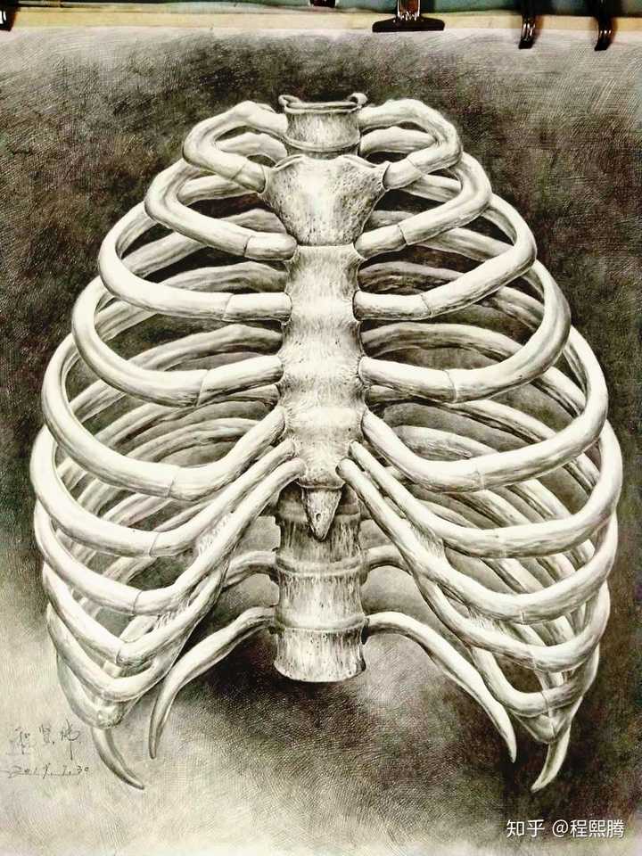 医学生第一次上人体解剖课的感受是怎样的?