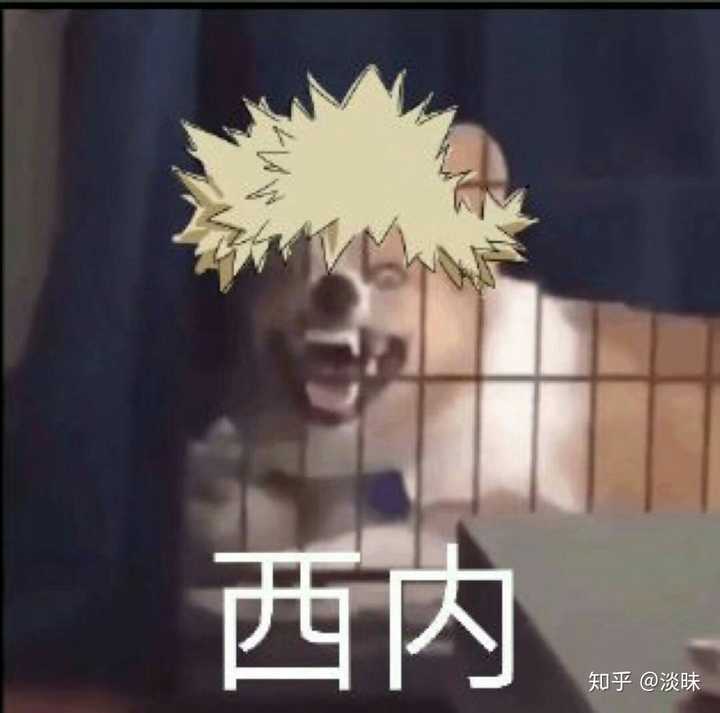 你生平用过最沙雕的表情包是什么?