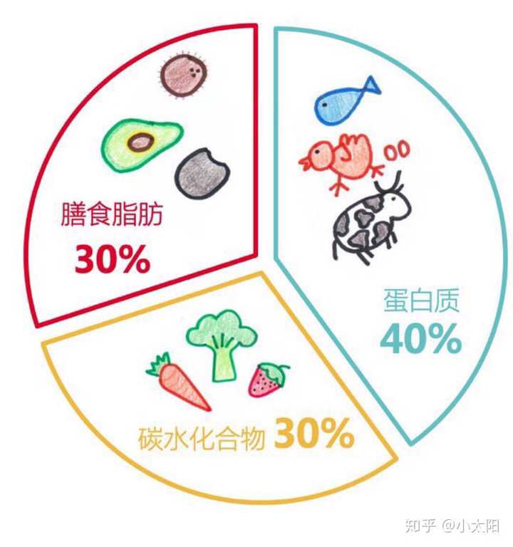 减脂时,饮食应该控制摄入脂肪还是碳水?