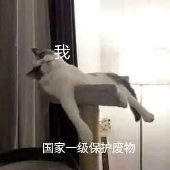 侵删 今天发熊猫图,放前面比较容易找 快夸我贴心嘿嘿嘿(疯狂眼神暗示