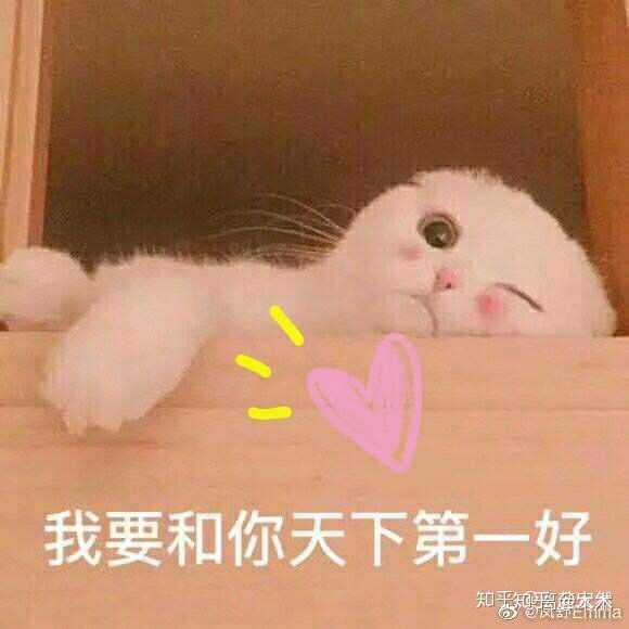 我要和你天下第一好.