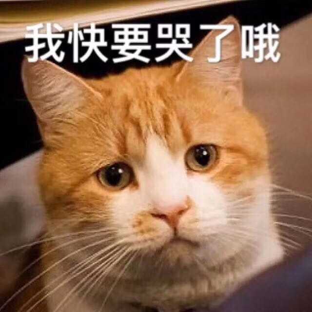 晚上开心的在床上抱着翻来翻去 开心的睡不着 看他吃东西 一只手拉着