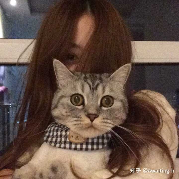 有没有女生抱着猫咪的头像呀?