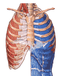 怎么能让颈椎病好起来?