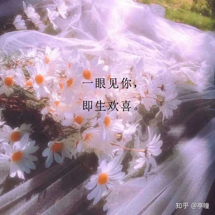 等到一颗星星被我感动,为我划过星空带着我的祝福落在你的枕边,生日