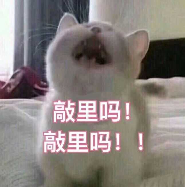 有哪些能死人的表情包?