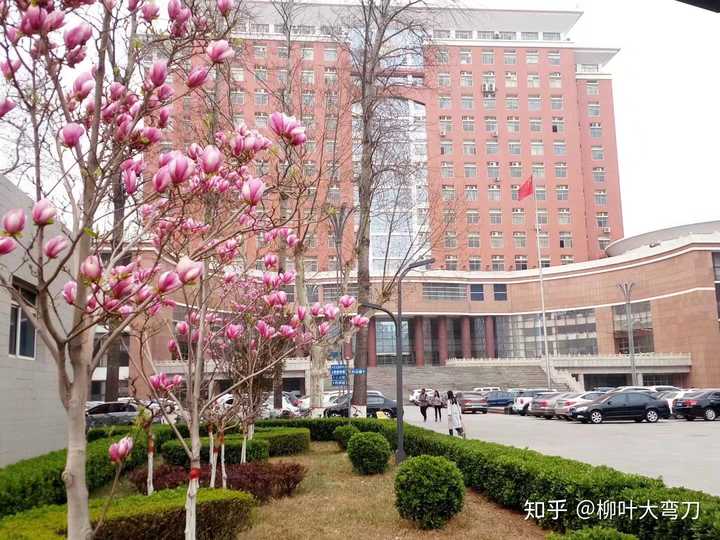 河北医科大学在你眼里是一所什么样的大学?