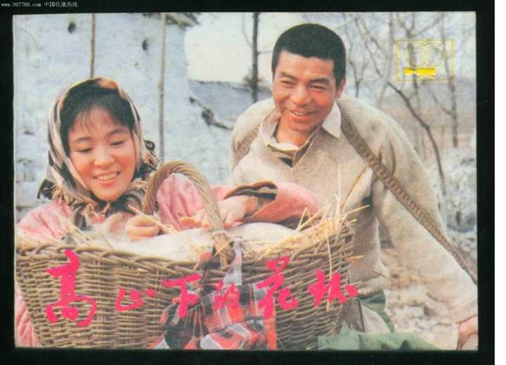 1985年,战斗英雄史光柱在中央电视台春节联欢晚会唱《小草》,这首歌