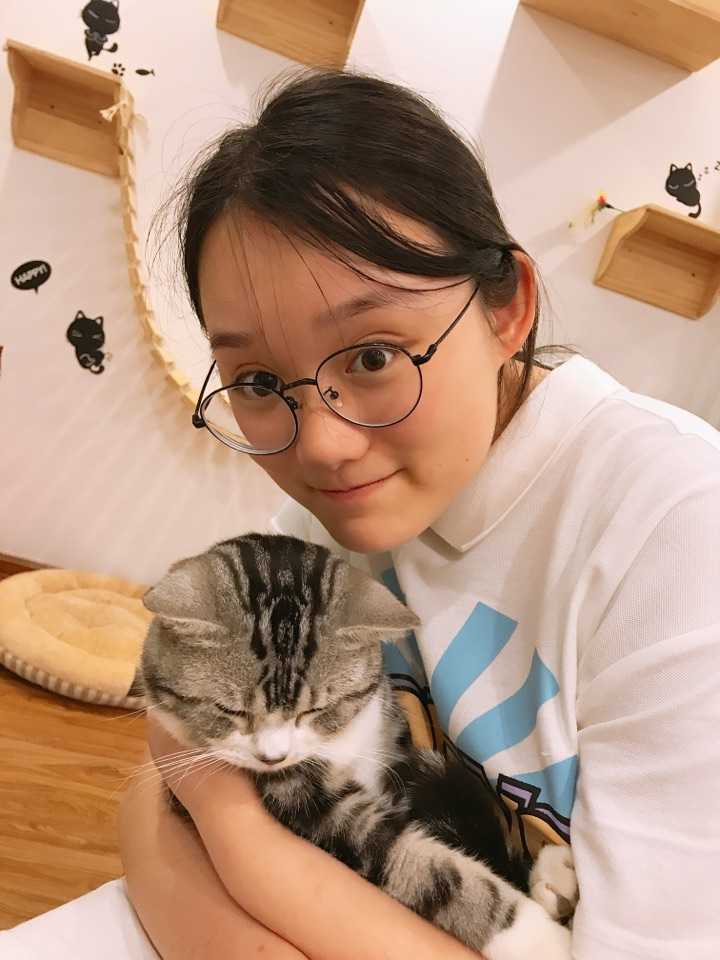 猫咖里的猫咪快乐吗?