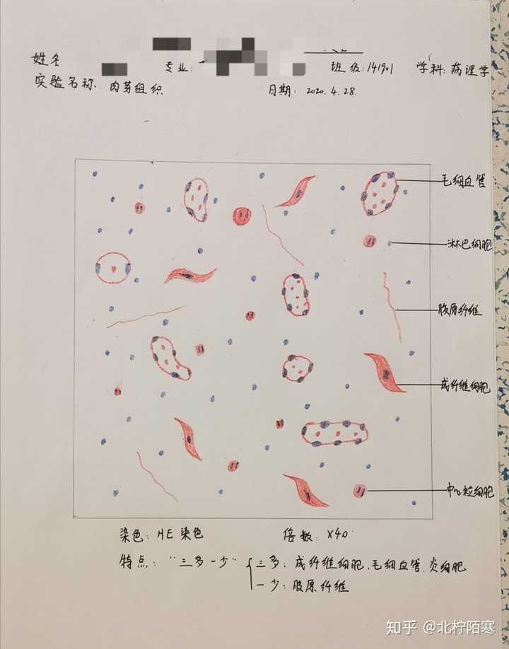 肉芽组织和血栓的红蓝铅笔手绘图怎么画?救救孩子吧!