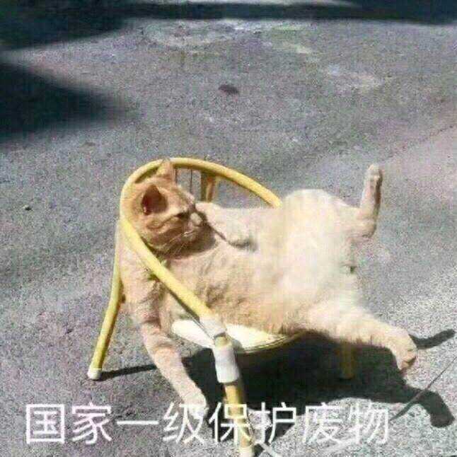 生活不易系列 有点乱,等我再收集收集来更新!